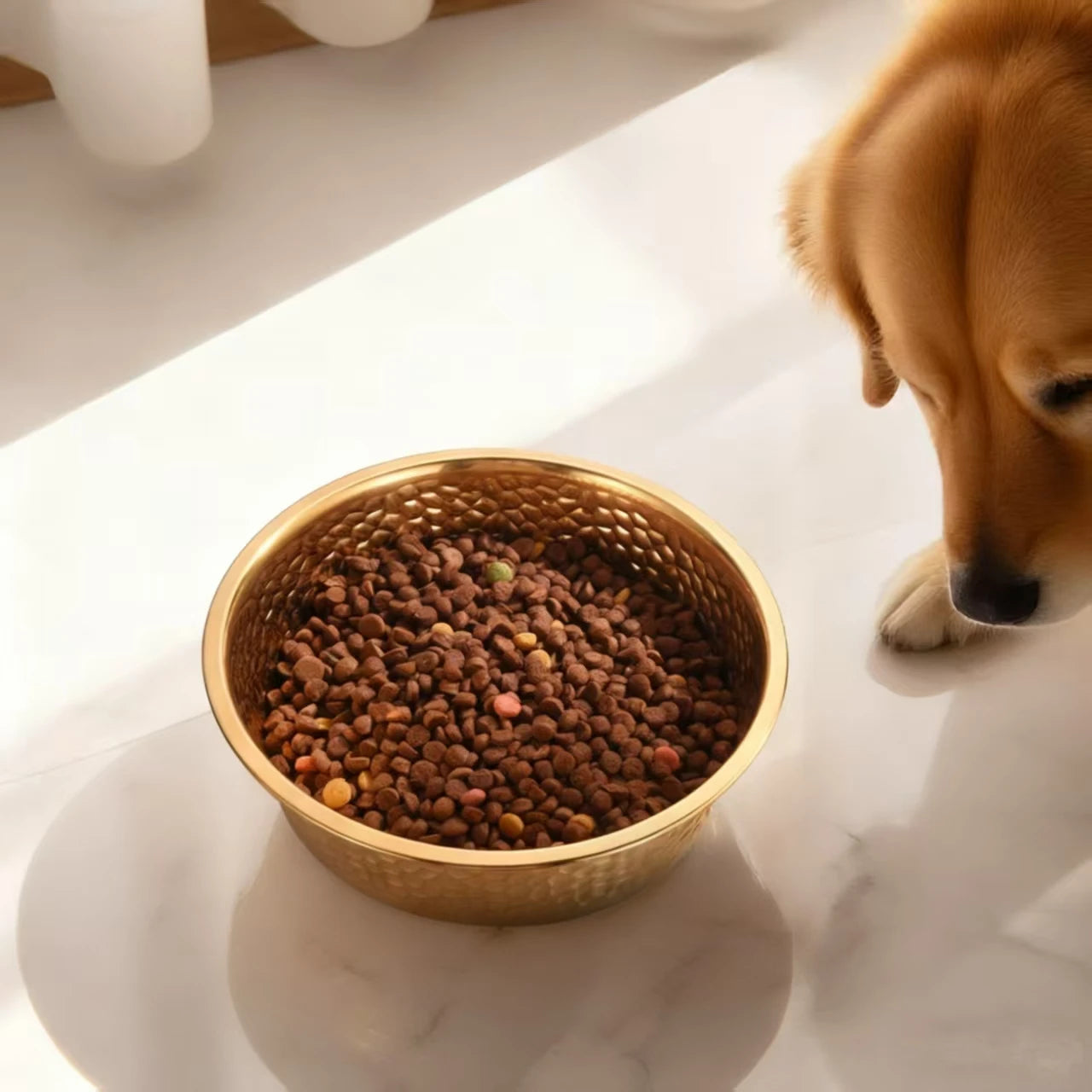 Aurelius Gilded Bowl – Luxe RVS Voerbak met Gouden Afwerking