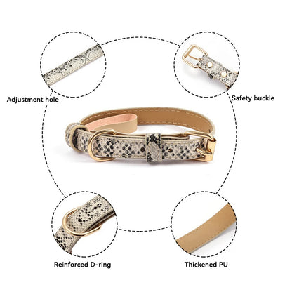 Tigris Halsband - Voor een echte Diva