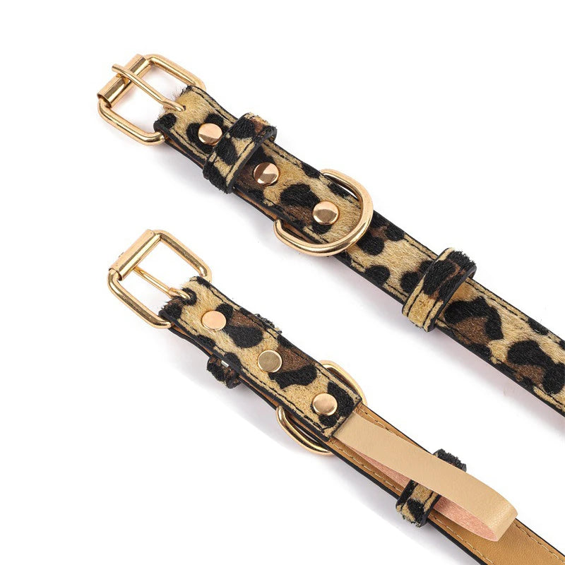 Tigris Halsband - Voor een echte Diva