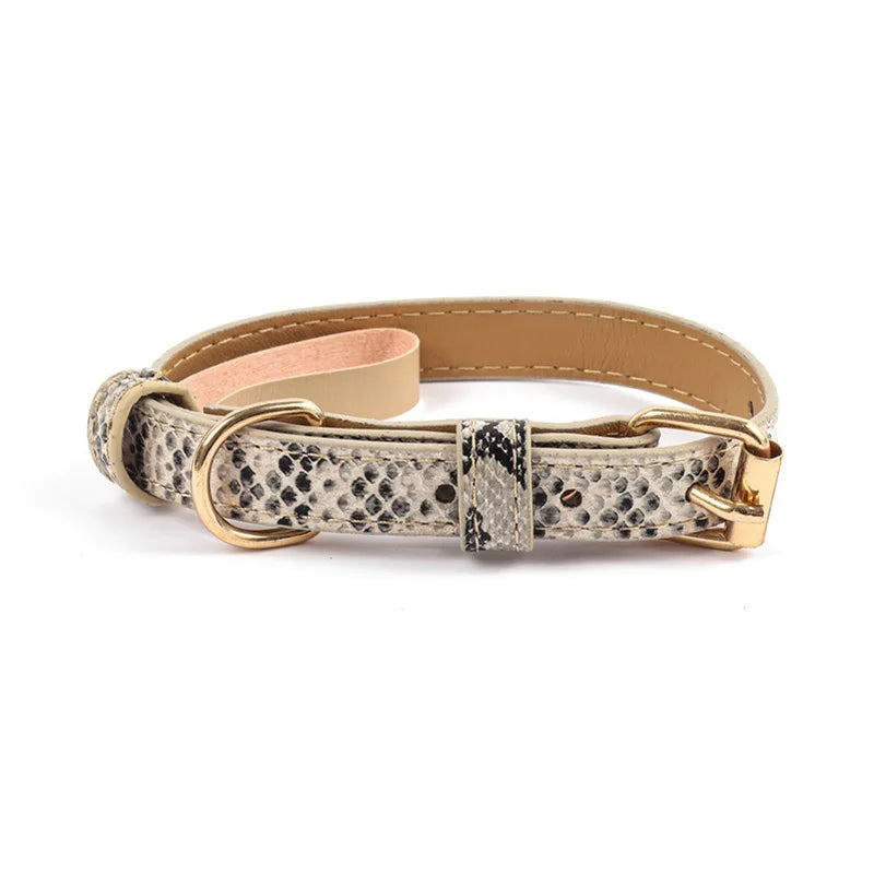 Tigris Halsband - Voor een echte Diva